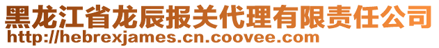 黑龍江省龍辰報(bào)關(guān)代理有限責(zé)任公司