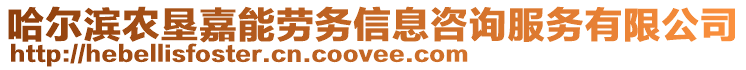 哈爾濱農(nóng)墾嘉能勞務(wù)信息咨詢服務(wù)有限公司