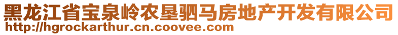 黑龍江省寶泉嶺農(nóng)墾駟馬房地產(chǎn)開發(fā)有限公司