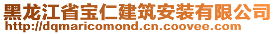 黑龙江省宝仁建筑安装有限公司