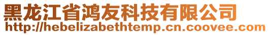 黑龍江省鴻友科技有限公司