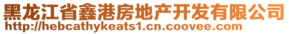 黑龍江省鑫港房地產(chǎn)開發(fā)有限公司