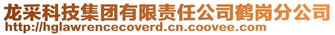 龍采科技集團有限責任公司鶴崗分公司