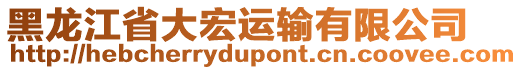 黑龍江省大宏運(yùn)輸有限公司