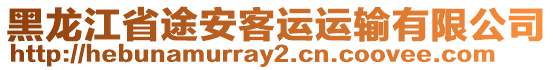 黑龍江省途安客運運輸有限公司