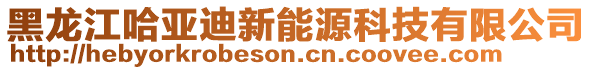 黑龍江哈亞迪新能源科技有限公司