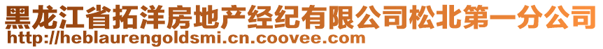 黑龍江省拓洋房地產(chǎn)經(jīng)紀(jì)有限公司松北第一分公司