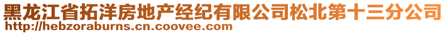 黑龍江省拓洋房地產(chǎn)經(jīng)紀(jì)有限公司松北第十三分公司