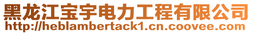 黑龍江寶宇電力工程有限公司