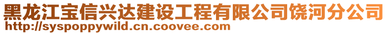 黑龍江寶信興達建設(shè)工程有限公司饒河分公司