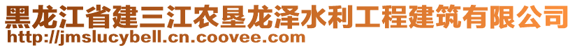 黑龍江省建三江農(nóng)墾龍澤水利工程建筑有限公司