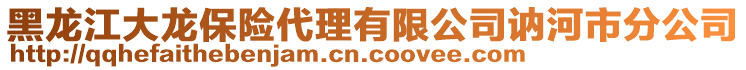 黑龍江大龍保險代理有限公司訥河市分公司