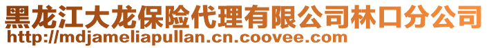 黑龍江大龍保險代理有限公司林口分公司