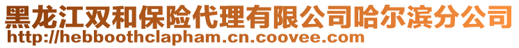 黑龍江雙和保險代理有限公司哈爾濱分公司