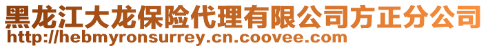 黑龍江大龍保險(xiǎn)代理有限公司方正分公司