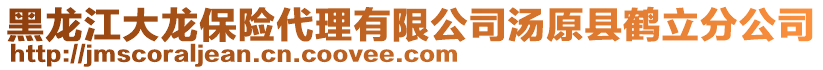 黑龍江大龍保險(xiǎn)代理有限公司湯原縣鶴立分公司