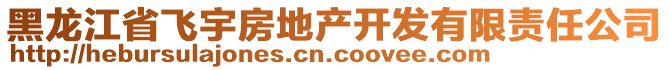 黑龙江省飞宇房地产开发有限责任公司