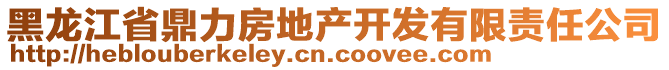 黑龍江省鼎力房地產(chǎn)開發(fā)有限責(zé)任公司