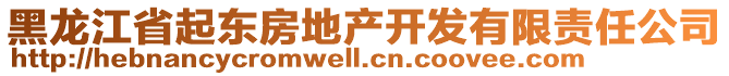 黑龍江省起東房地產(chǎn)開發(fā)有限責(zé)任公司