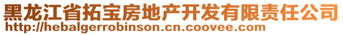 黑龍江省拓寶房地產開發(fā)有限責任公司