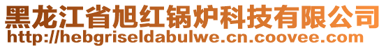 黑龍江省旭紅鍋爐科技有限公司