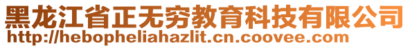 黑龍江省正無窮教育科技有限公司