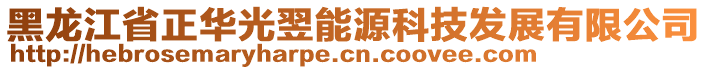 黑龍江省正華光翌能源科技發(fā)展有限公司