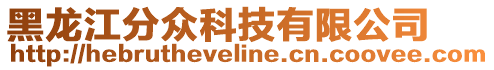 黑龍江分眾科技有限公司