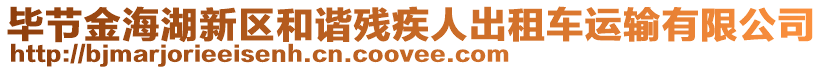 畢節(jié)金海湖新區(qū)和諧殘疾人出租車運輸有限公司