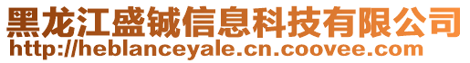 黑龍江盛鋮信息科技有限公司