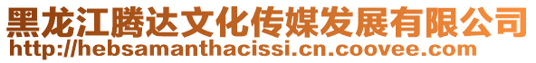 黑龍江騰達文化傳媒發(fā)展有限公司