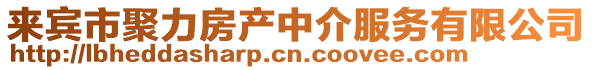 來賓市聚力房產(chǎn)中介服務(wù)有限公司