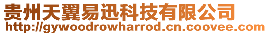 貴州天翼易迅科技有限公司