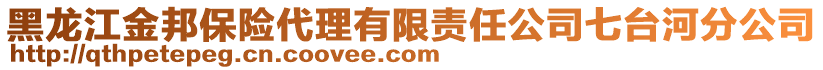 黑龍江金邦保險代理有限責(zé)任公司七臺河分公司