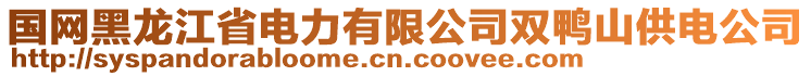 國網黑龍江省電力有限公司雙鴨山供電公司