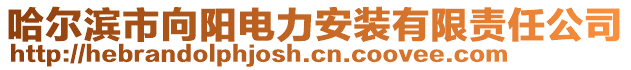 哈尔滨市向阳电力安装有限责任公司