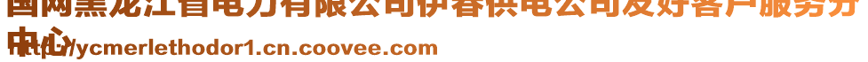 国网黑龙江省电力有限公司伊春供电公司友好客户服务分
中心