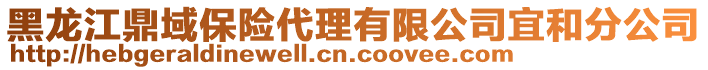 黑龍江鼎域保險代理有限公司宜和分公司