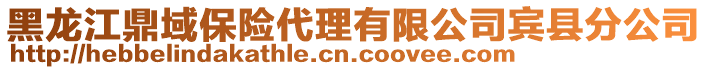 黑龍江鼎域保險代理有限公司賓縣分公司