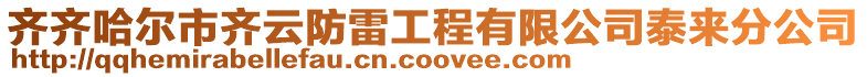 齊齊哈爾市齊云防雷工程有限公司泰來(lái)分公司