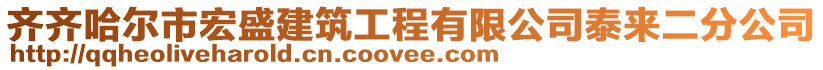 齐齐哈尔市宏盛建筑工程有限公司泰来二分公司