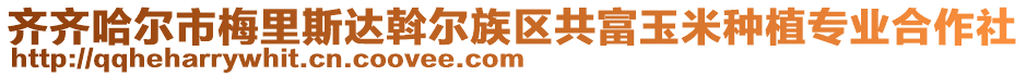 齊齊哈爾市梅里斯達(dá)斡爾族區(qū)共富玉米種植專業(yè)合作社