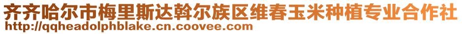 齊齊哈爾市梅里斯達(dá)斡爾族區(qū)維春玉米種植專業(yè)合作社