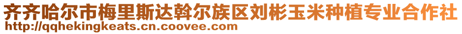 齊齊哈爾市梅里斯達斡爾族區(qū)劉彬玉米種植專業(yè)合作社