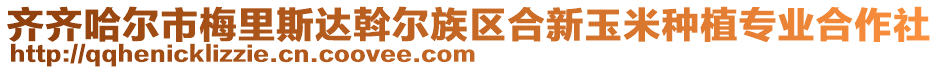 齊齊哈爾市梅里斯達(dá)斡爾族區(qū)合新玉米種植專業(yè)合作社