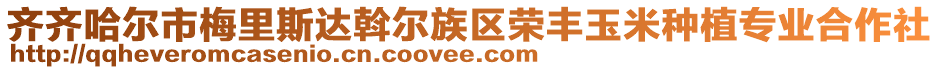 齊齊哈爾市梅里斯達(dá)斡爾族區(qū)榮豐玉米種植專業(yè)合作社