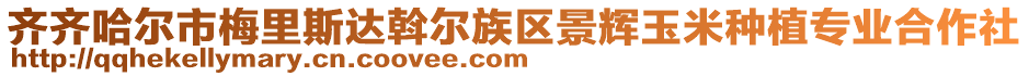 齊齊哈爾市梅里斯達(dá)斡爾族區(qū)景輝玉米種植專業(yè)合作社