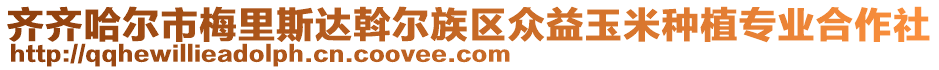 齊齊哈爾市梅里斯達斡爾族區(qū)眾益玉米種植專業(yè)合作社