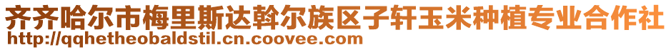 齊齊哈爾市梅里斯達(dá)斡爾族區(qū)子軒玉米種植專(zhuān)業(yè)合作社