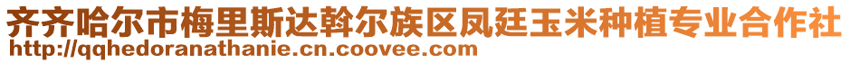 齊齊哈爾市梅里斯達斡爾族區(qū)鳳廷玉米種植專業(yè)合作社